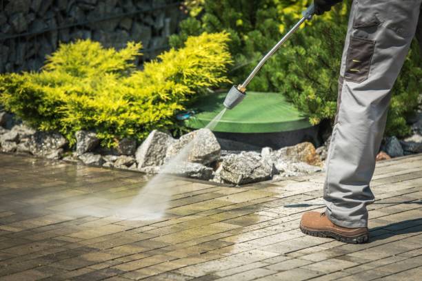 Professional Pressure Washing Services in Coyne Center, IL
